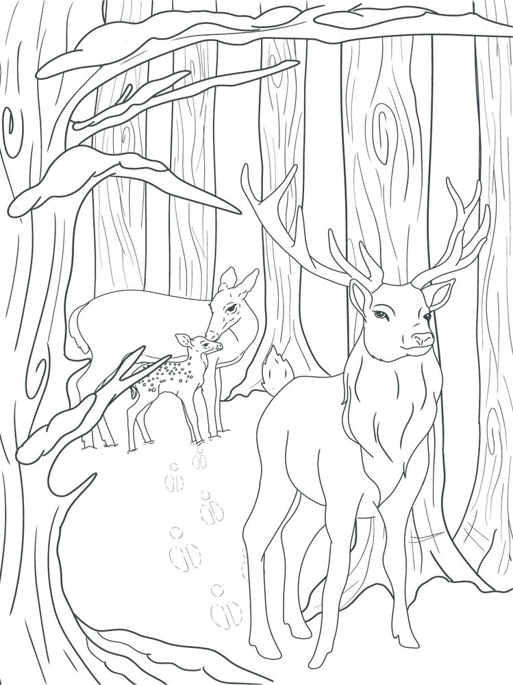 Crafter's Companion Card Front Colouring Pads Winter Scenes (CC-COLPAD-WISC) (OUTLET)