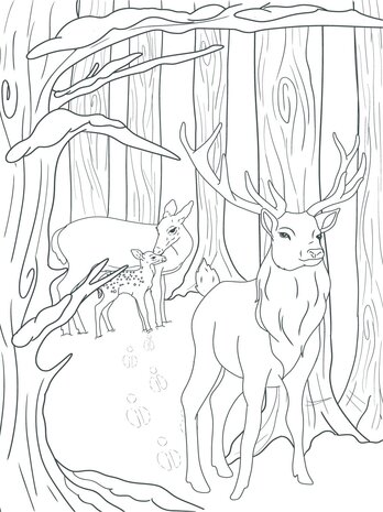 Crafter's Companion Card Front Colouring Pads Winter Scenes (CC-COLPAD-WISC) (OUTLET)