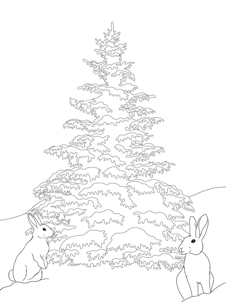 Crafter's Companion Card Front Colouring Pads Winter Scenes (CC-COLPAD-WISC) (OUTLET)