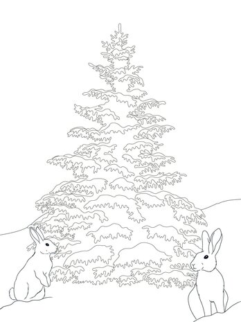 Crafter's Companion Card Front Colouring Pads Winter Scenes (CC-COLPAD-WISC) (OUTLET)