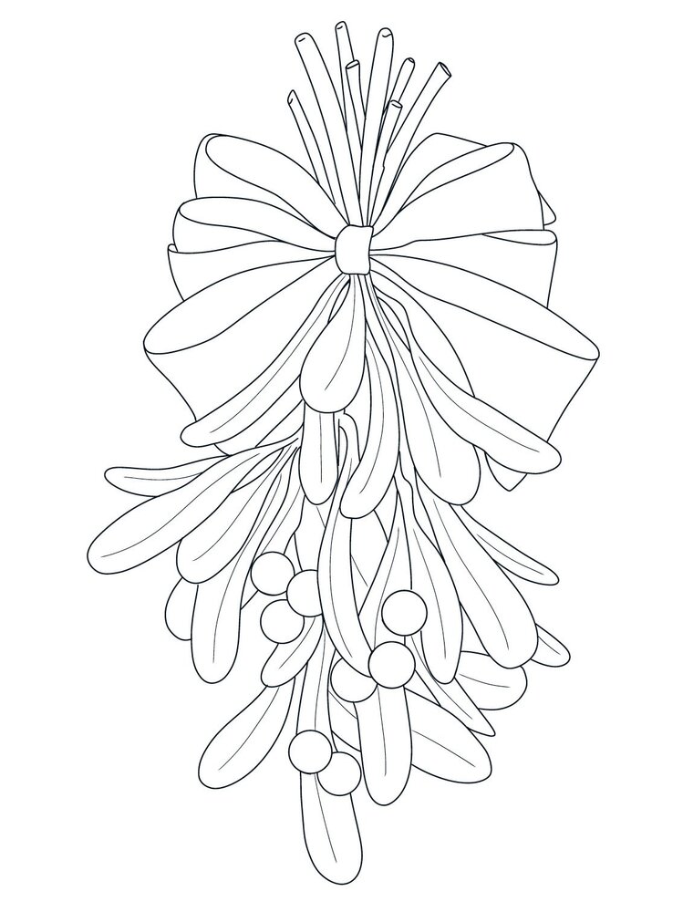 Crafter's Companion Card Front Colouring Pads Natures Christmas (CC-COLPAD-NACH) (OUTLET)