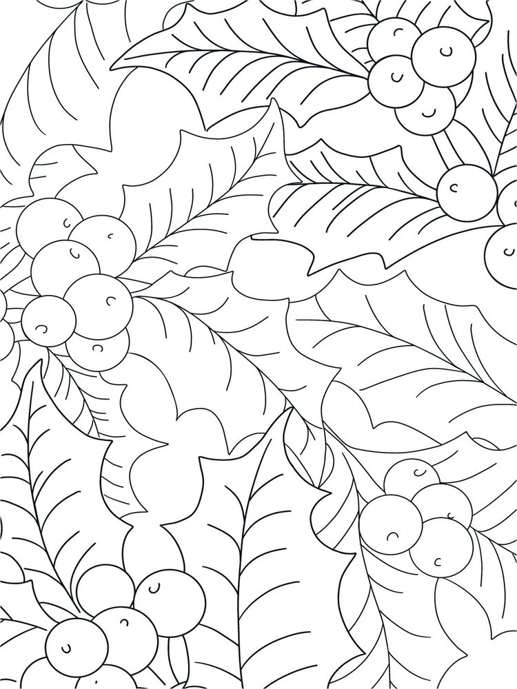 Crafter's Companion Card Front Colouring Pads Natures Christmas (CC-COLPAD-NACH) (OUTLET)