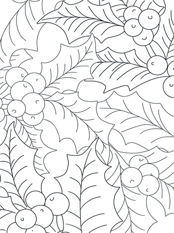 Crafter's Companion Card Front Colouring Pads Natures Christmas (CC-COLPAD-NACH) (OUTLET)