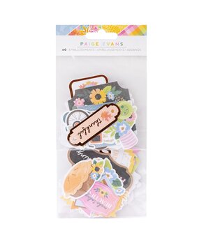 American Crafts Paige Evans Garden Shoppe Embellishments (40pcs) (34013787) (OUTLET)