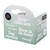 Studio Light PRE-ORDER Essentials Clear Stickers on Roll Tiny Miracle (SL-ES-STIC68)