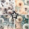 Paper Favourites Dandelion A5 Paper Pad (PFA207)