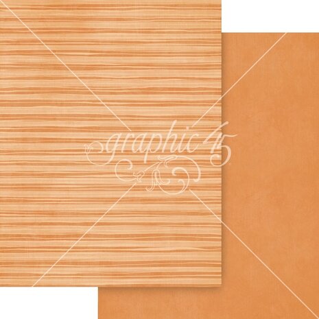 Graphic 45 Scenic Route 8.5x11 Inch Patterns & Solids Pack (4503196)