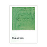 Ranger 49 & Market Dye Ink Reinkers Shamrock (FMI93084)