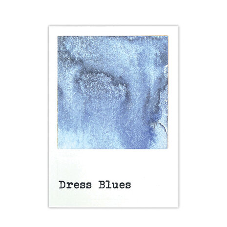 Ranger 49 & Market Dye Ink Pad Dress Blues (FMP92865)