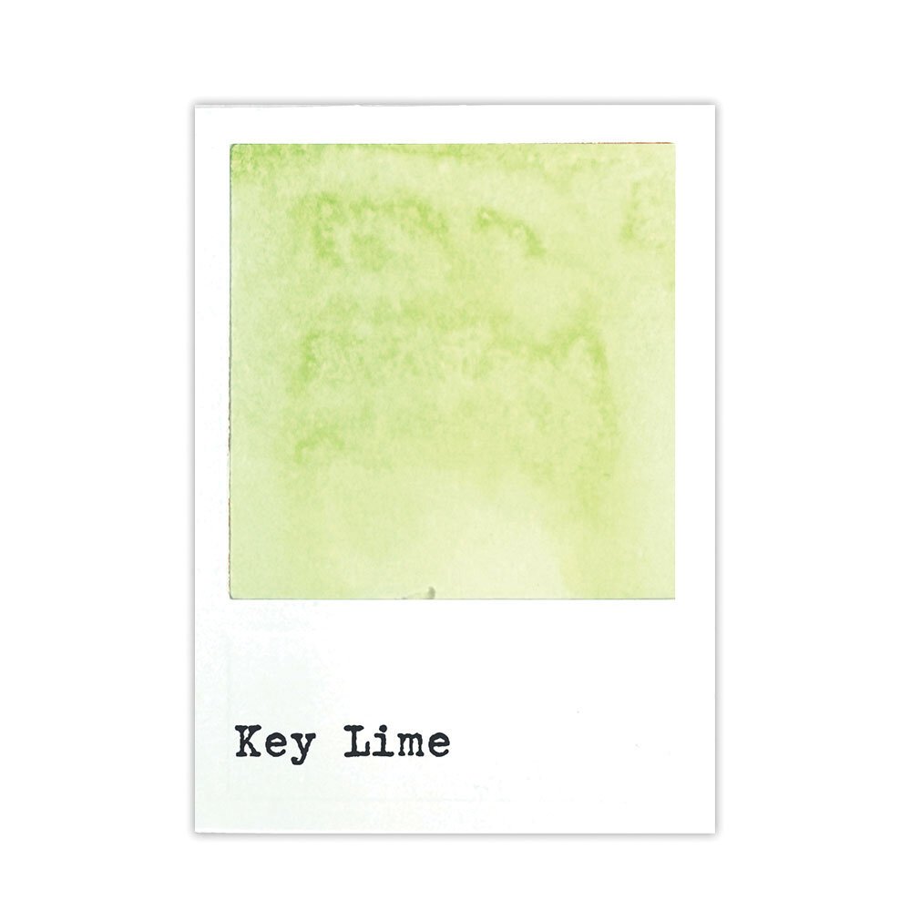 Ranger PRE-ORDER 49 & Market Dye Ink Pad Key Lime (FMP92896) Ranger PRE-ORDER 49 & Market Dye Ink Pad Key Lime (FMP92896)