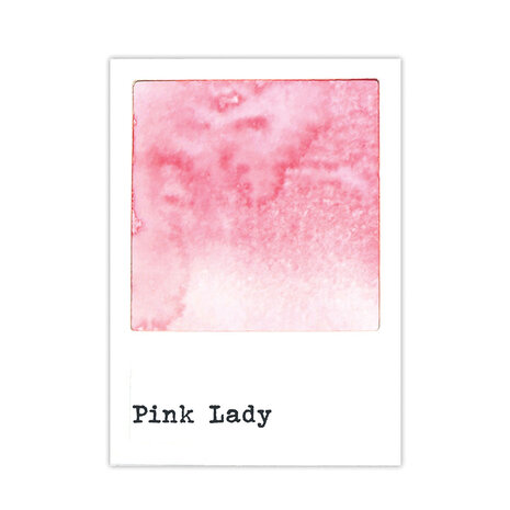 Ranger 49 & Market Dye Ink Pad Pink Lady (FMP92919)