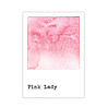 Ranger 49 & Market Dye Ink Pad Pink Lady (FMP92919)