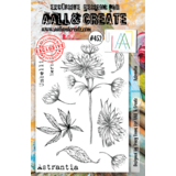AALL and Create Stamp Set A5 Astrantia (AALL-TP-452) (OUTLET)
