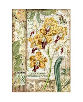 Stamperia Rice Paper A4 Amazonia Orchid (6 pcs) (DFSA4532) (OUTLET)