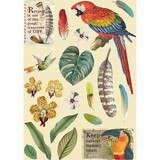 Stamperia Wooden Shapes A5 Amazonia Parrot (KLSP095) (OUTLET)