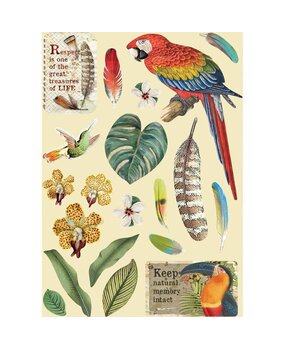 Stamperia Wooden Shapes A5 Amazonia Parrot (KLSP095) (OUTLET)
