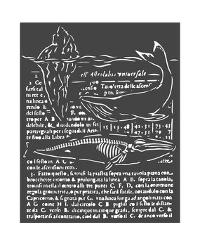 Stamperia Thick Stencil 20x25cm Whale (KSTD056) (OUTLET)
