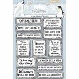 Stamperia Natural Rubber Stamp Arctic Antarctic Quotes (WTKCC180) (OUTLET)