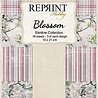 Reprint Blossom Slimline Paper Pack (RPS026) (OUTLET)