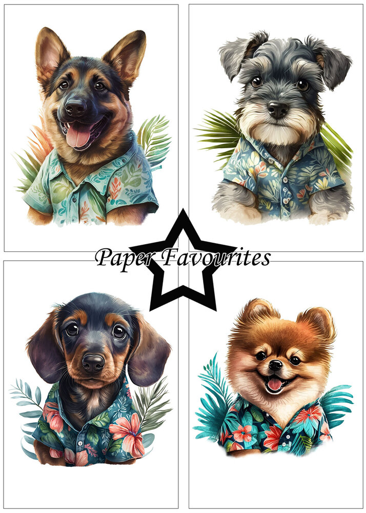Paper Favourites Summer Dogs A5 Paper Pack (PFA119) (OUTLET)