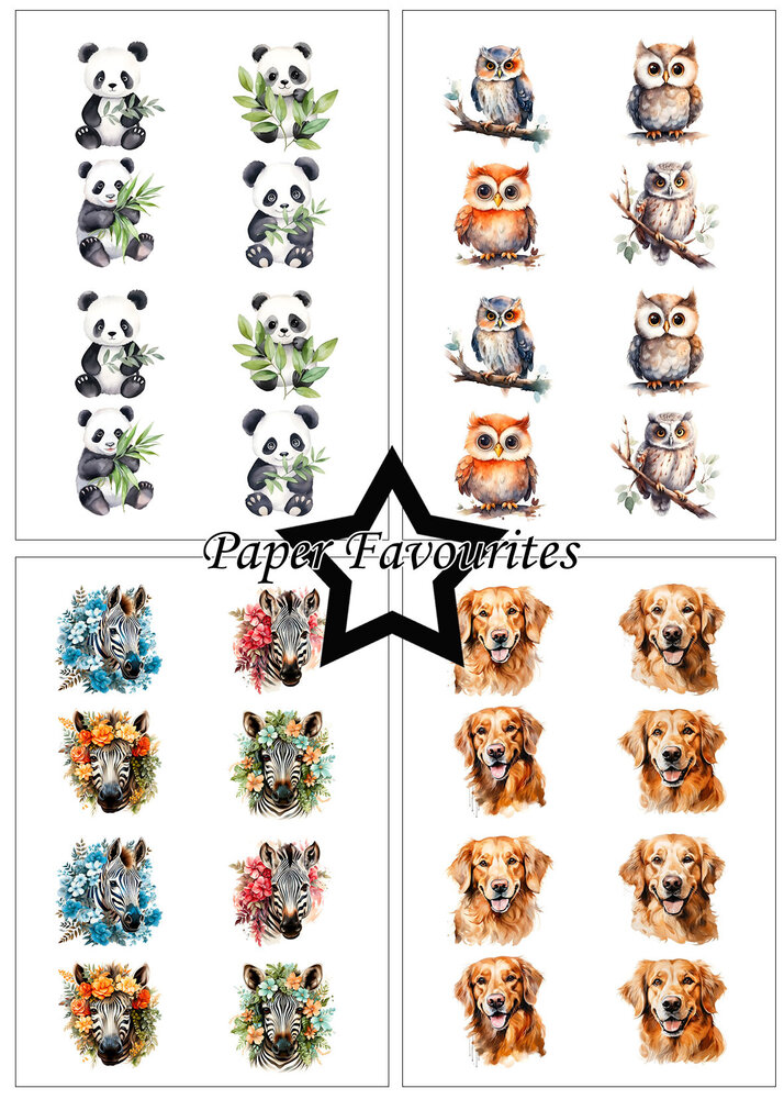 Paper Favourites Cute Animals A5 Paper Pack (PFA127) (OUTLET)