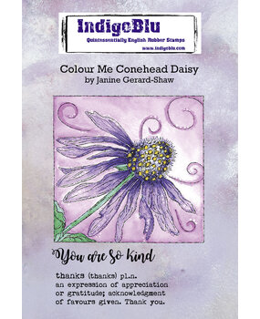 IndigoBlu Colour Me Conehead Daisy A6 Rubber Stamp (IND0749) (OUTLET) IndigoBlu Colour Me Conehead Daisy A6 Rubber Stamp (IND0749) (OUTLET)