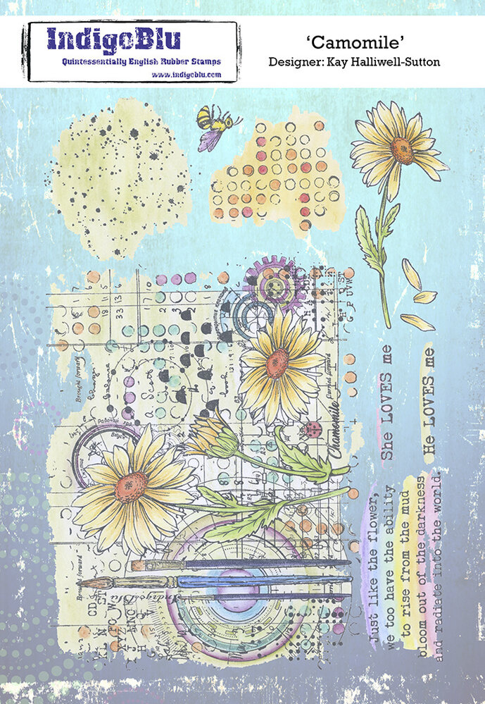 IndigoBlu Camomile A5 Rubber Stamps (IND0810) (OUTLET) IndigoBlu Camomile A5 Rubber Stamps (IND0810) (OUTLET)