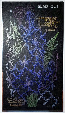 IndigoBlu Gladioli A5 Rubber Stamps (IND0811) (OUTLET) IndigoBlu Gladioli A5 Rubber Stamps (IND0811) (OUTLET)