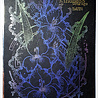 IndigoBlu Gladioli A5 Rubber Stamps (IND0811) (OUTLET) IndigoBlu Gladioli A5 Rubber Stamps (IND0811) (OUTLET)