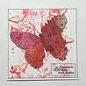 IndigoBlu Butterfly Dance A5 Rubber Stamps (IND0941) (OUTLET)