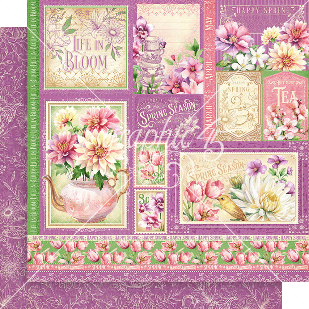 Graphic 45 Season to Celebrate 12x12 Inch Collection Pack (4502953) (OUTLET) Graphic 45 Season to Celebrate 12x12 Inch Collection Pack (4502953) (OUTLET)