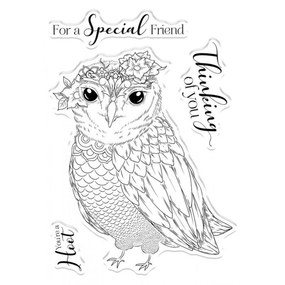 Gemini You're a Hoot Stamp & Die (GEM-STD-YAHOO) (OUTLET) Gemini You're a Hoot Stamp & Die (GEM-STD-YAHOO) (OUTLET)