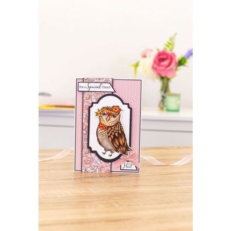 Gemini You're a Hoot Stamp & Die (GEM-STD-YAHOO) (OUTLET) Gemini You're a Hoot Stamp & Die (GEM-STD-YAHOO) (OUTLET)