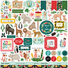 Echo Park Animal Kingdom 12x12 Inch Collection Kit (AK259016) (OUTLET)