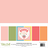 Echo Park Birthday Girl 12x12 Inch Coordinating Solids Paper Pack (BIG262015) (OUTLET)
