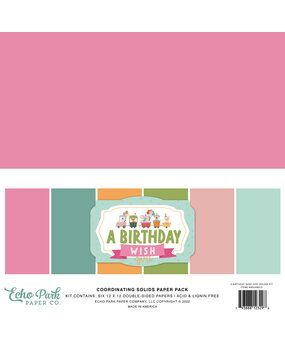 Echo Park A Birthday Wish Girl 12x12 Inch Coordinating Solids Paper Pack (BWG296015) (OUTLET)