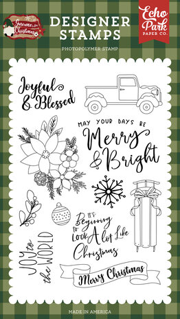 Echo Park Joyful And Blessed Clear Stamps (GFC290046) (OUTLET)