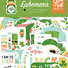 Echo Park Happy St. Patrick's Day Ephemera (SPD350024) (OUTLET)