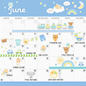 Doodlebug Design Baby Boy First Year Calendar Kit (8064) (OUTLET)