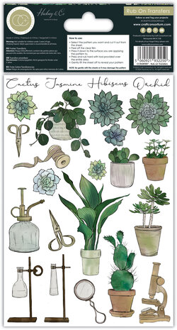 Craft Consortium Botany Boutique Rub-ons (CCRUBT007) (OUTLET)