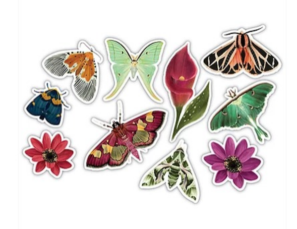 Craft Consortium Midnight Flight Wood shapes (CCWDNS017) (OUTLET)