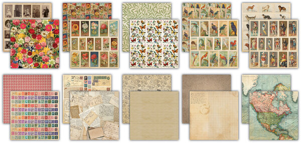 Craft Consortium The Collector 12x12 Inch Paper Pad (CCEPAD038)