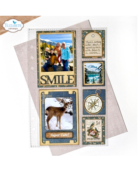 Elizabeth Craft Designs Delightful Discovery Memory Binder Pocket Pages 1 (PP04)