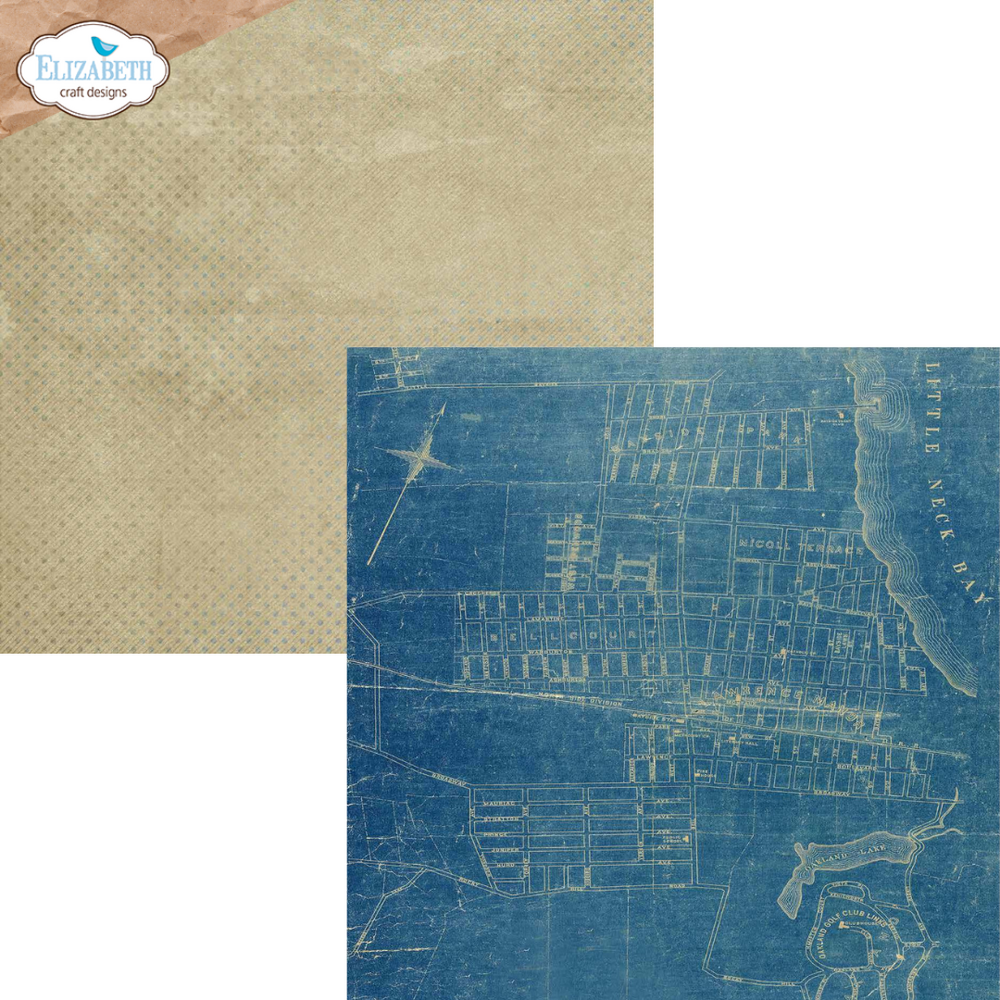 Elizabeth Craft Designs Delightful Discovery 12x12 Inch Patterned Cardstock (C041)