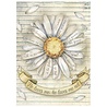 Stamperia Daisy Art A6 Mini Rice paper (DFSA6X04)