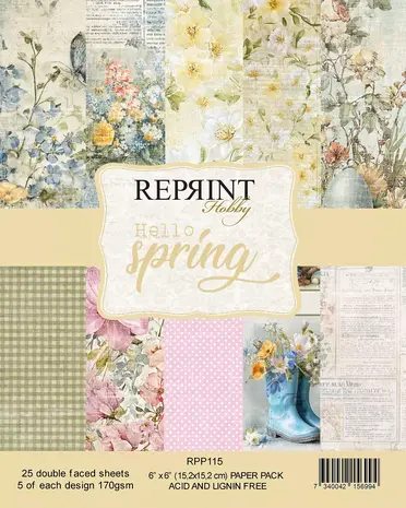 Reprint PRE-ORDER Hello Spring 6x6 Inch Paper Pack (RPP115)