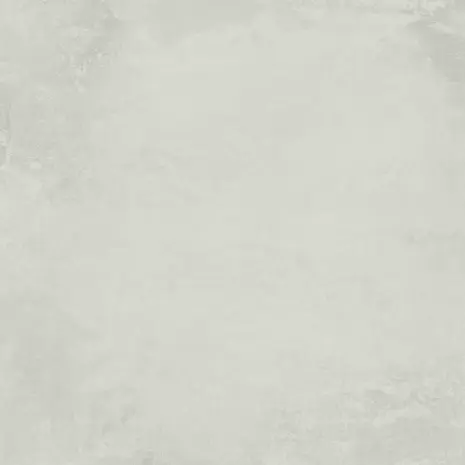 Reprint Timeless 12x12 Inch Cardstock (REP021)