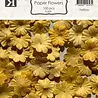 Reprint PRE-ORDER Paper Flowers Yellow (FL009)