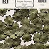 Reprint PRE-ORDER Paper Flowers Moss (FL012)