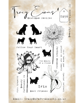Tracy Evans Beauty Surrounds Us A5 Clear Stamp (TE056)